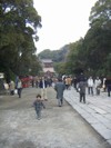 Kamakura5